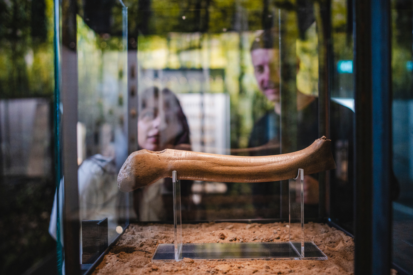 Två personer tittar på ett föremål på landskrona museum