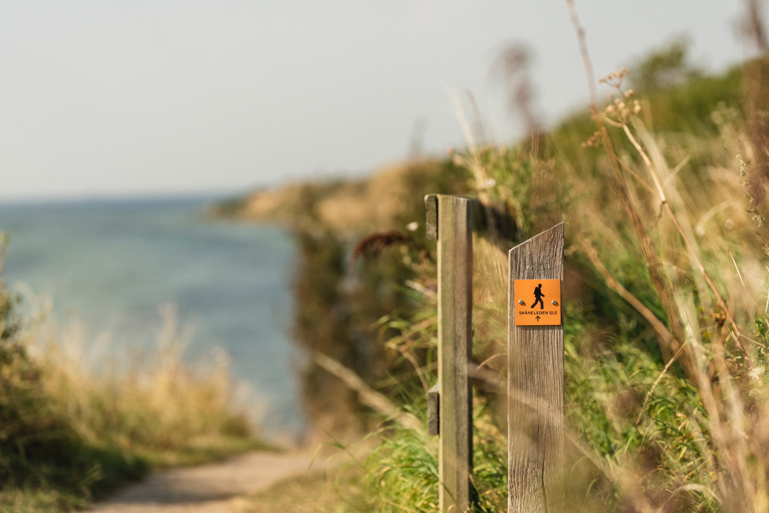 Tre personer står på en bunker och blickar ut över Öresund