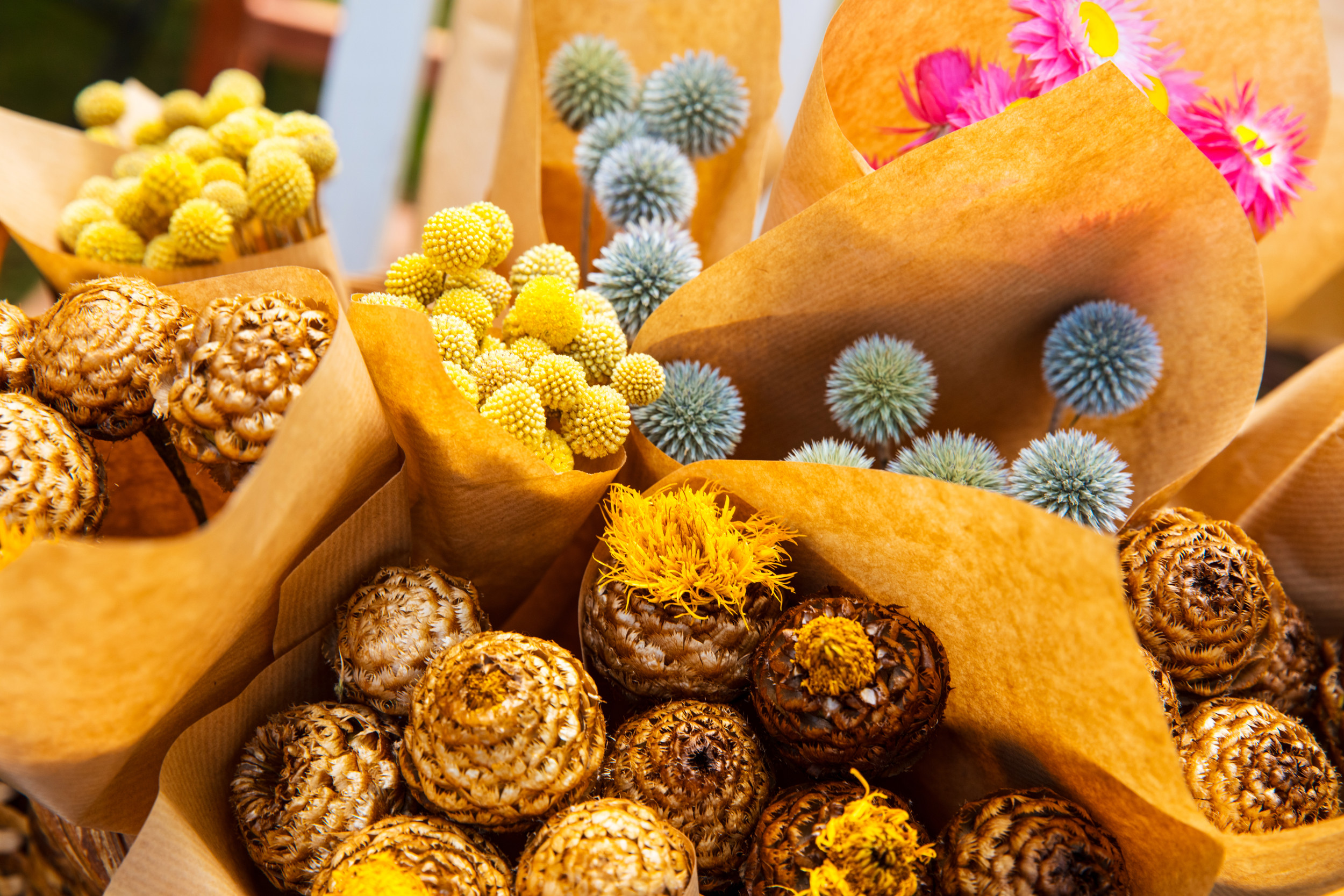 Blommor i gult och rosa