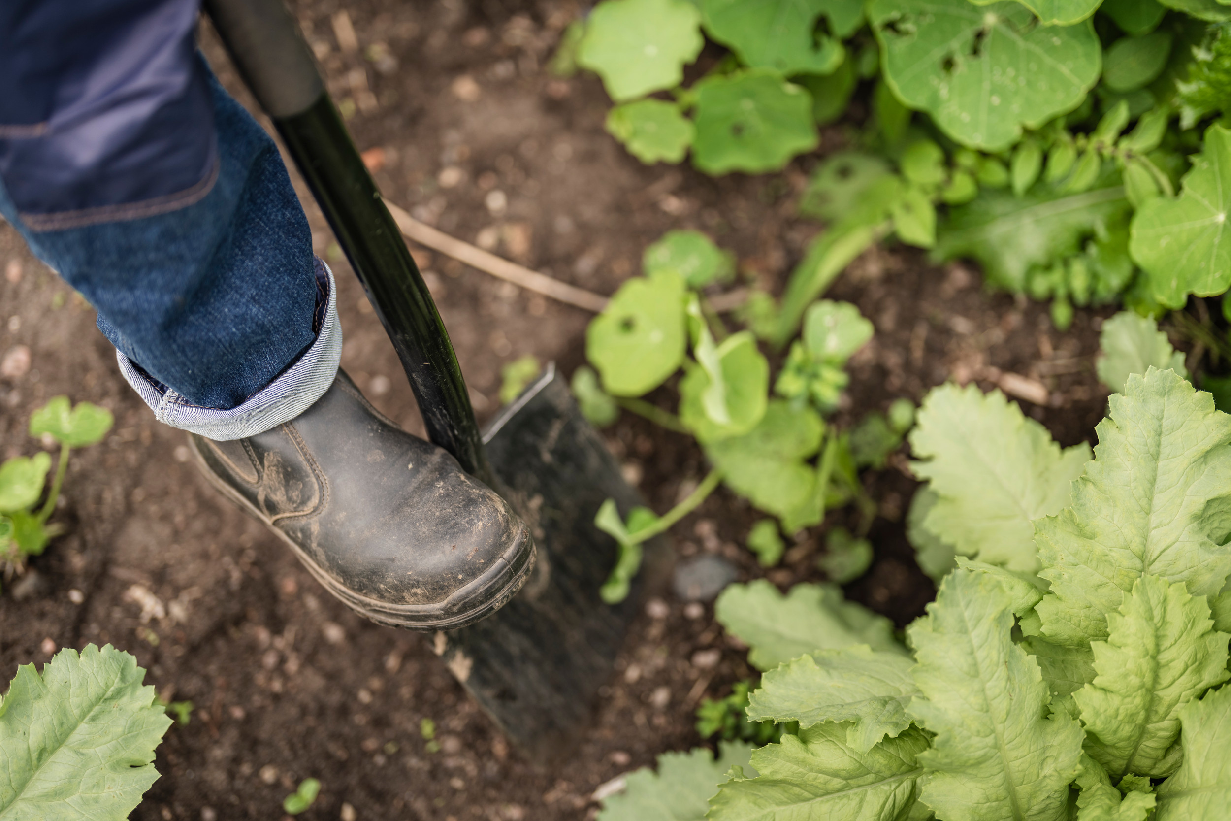 A foot in the ground