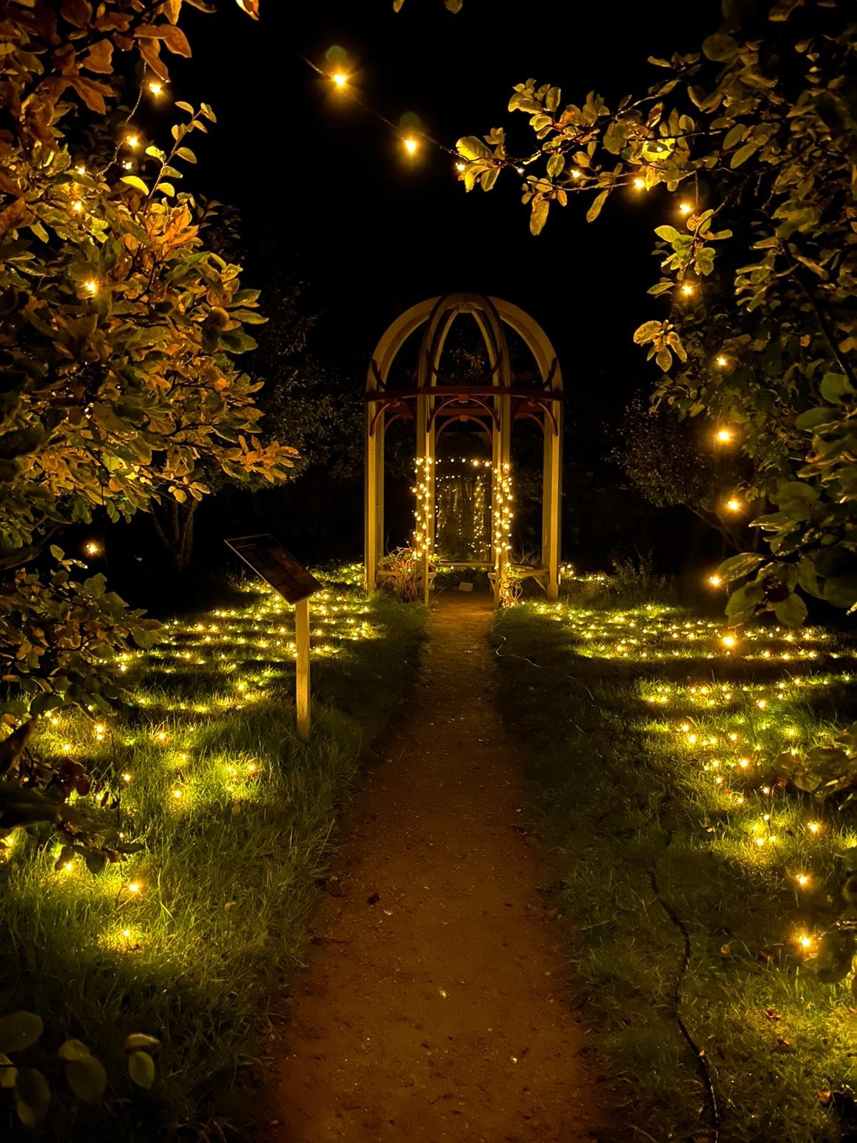 RENÄSSANSAFTON i sensommarträdgården