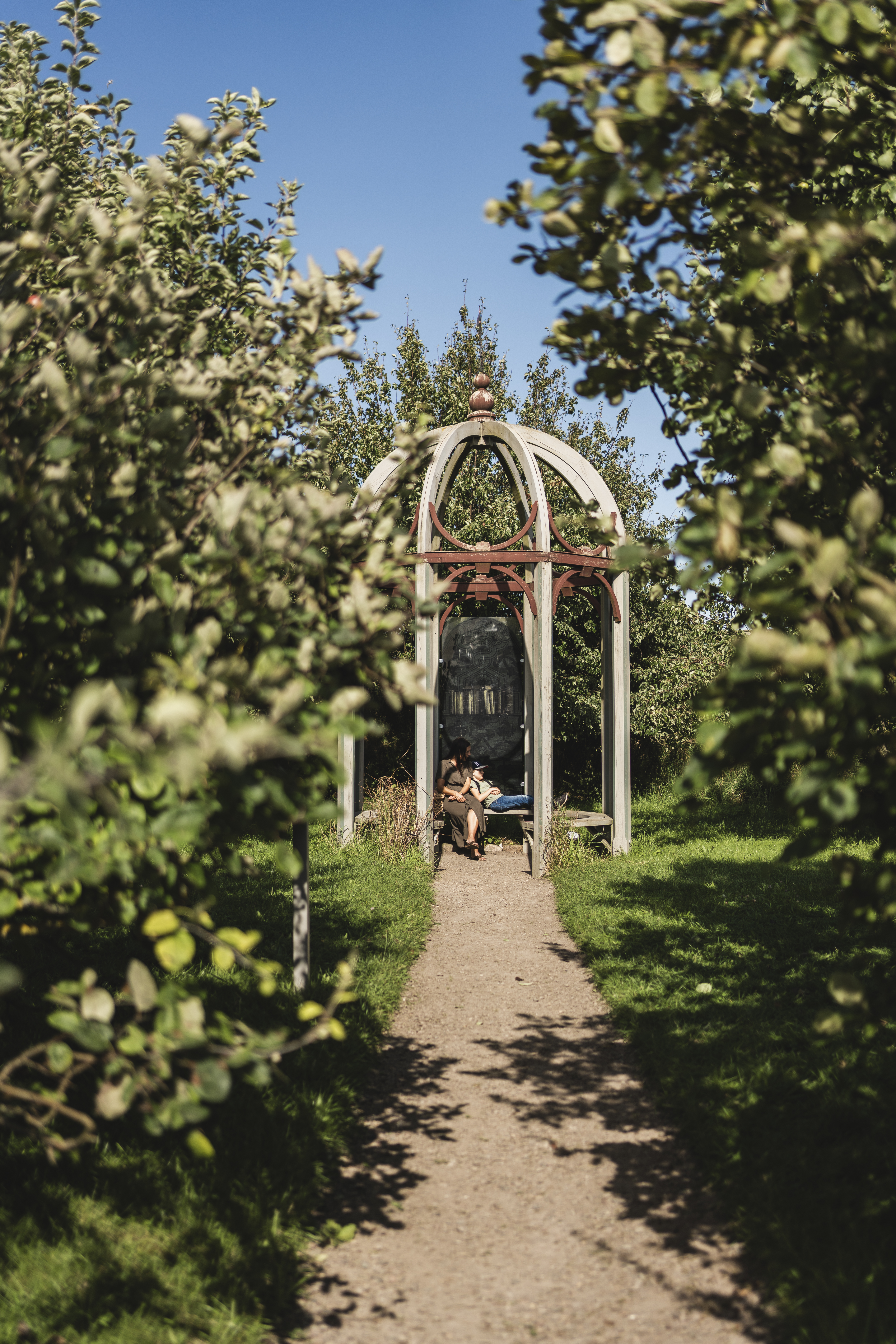 TYCHOTEMA: Trädgårdsmästaren berättar