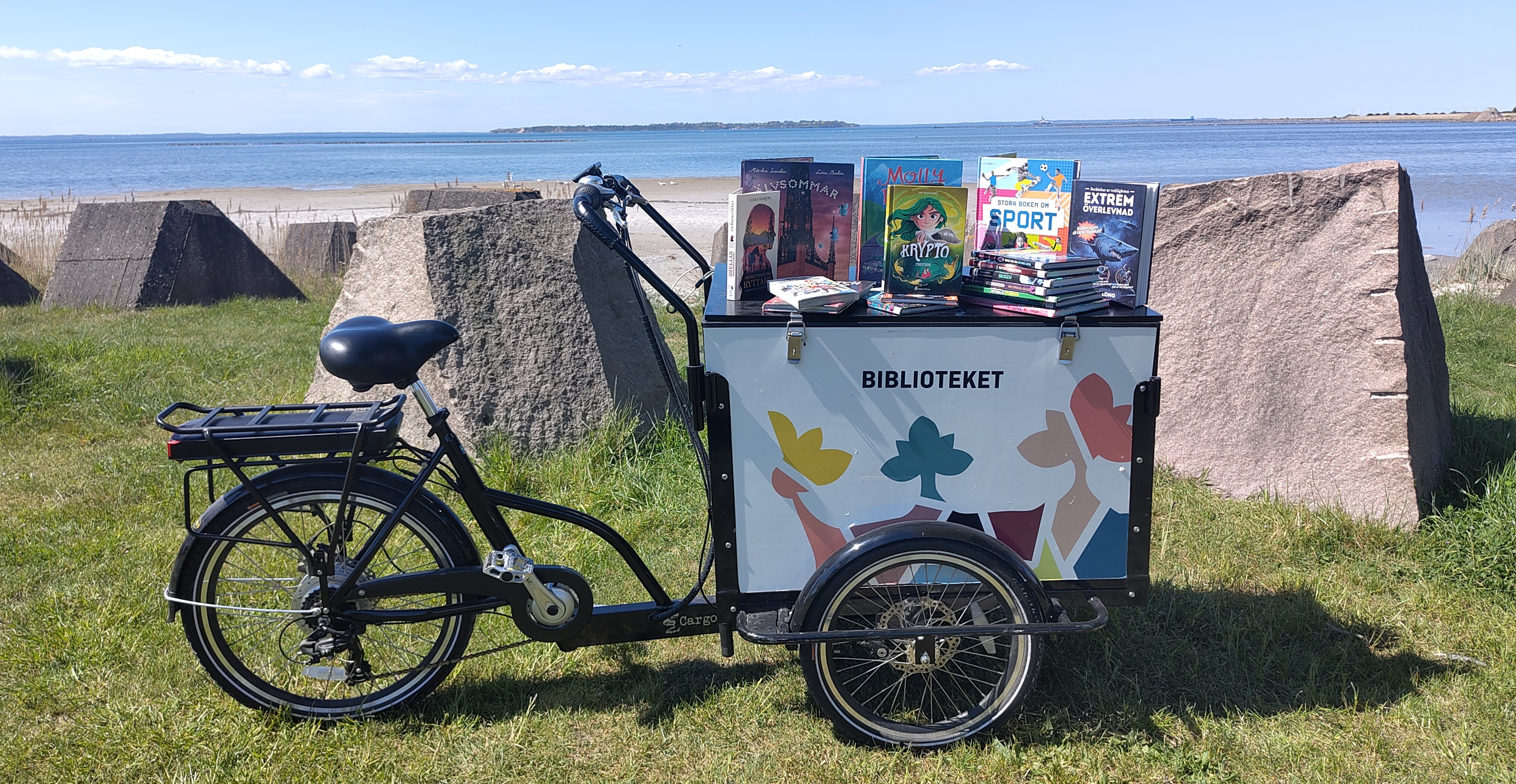 Biblioteket besöker Cityidrott