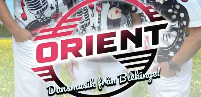 Dans i Slottsparken
