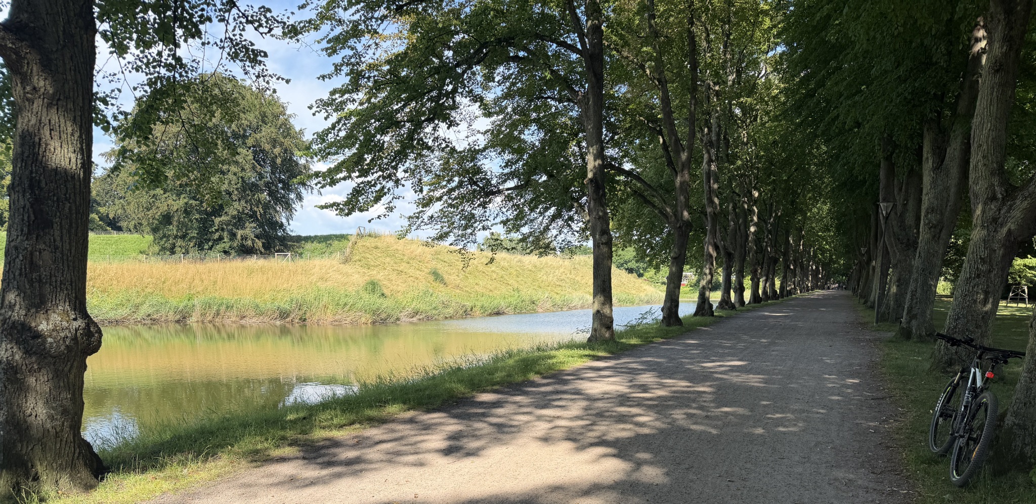 Hälsoloppet